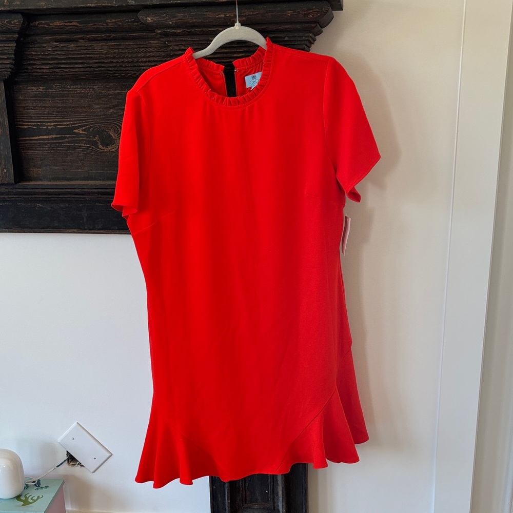 Elegant Red Women's dress